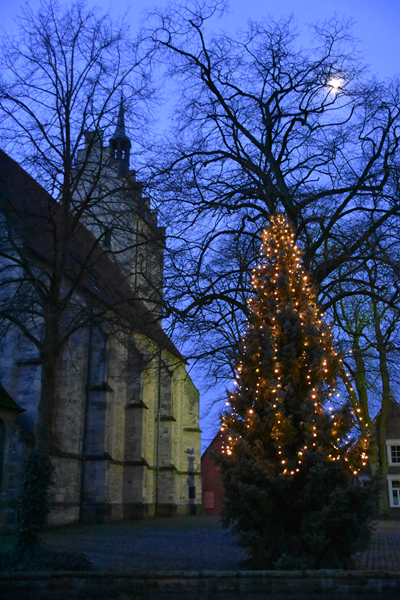 Weihnachtsbaum.png